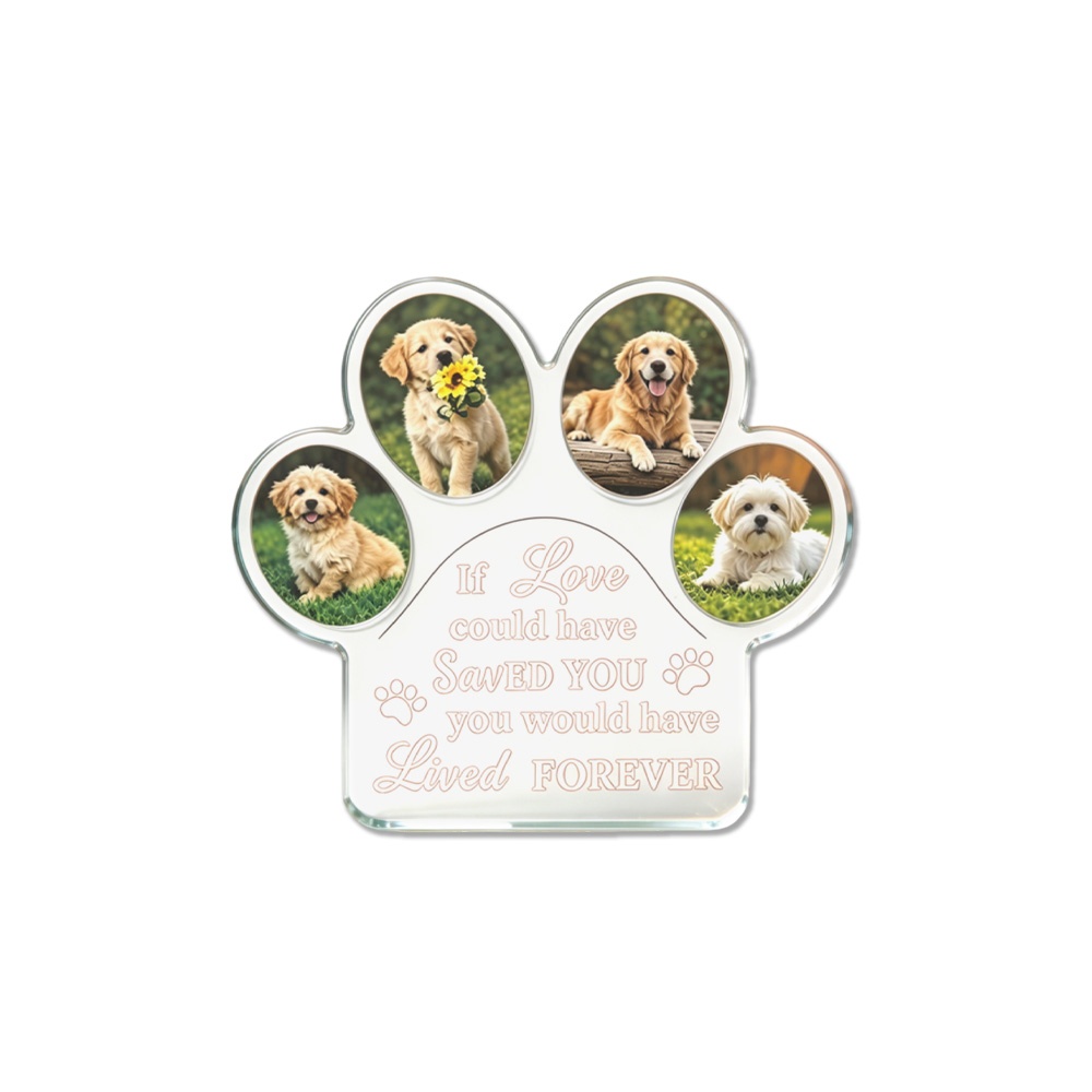 1Pc Plakat Akrilik Bentuk Caka - Photo Acrylic Block ulasan dan harga